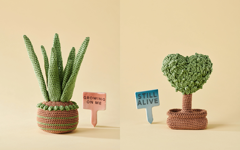 Laissez grandir les plantes